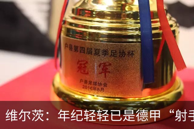 维尔茨：年纪轻轻已是德甲“射手小神童