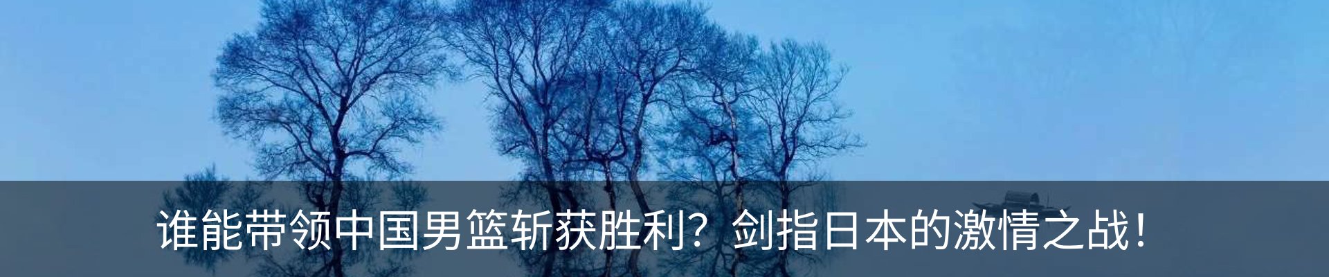 内页banner